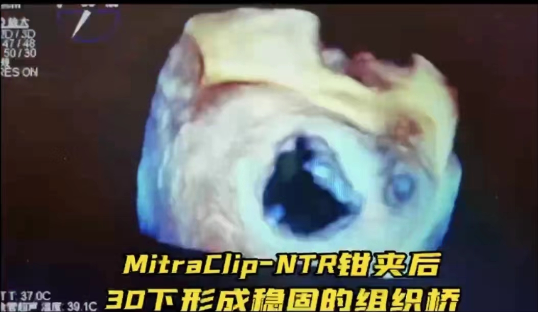 圖3.jpg