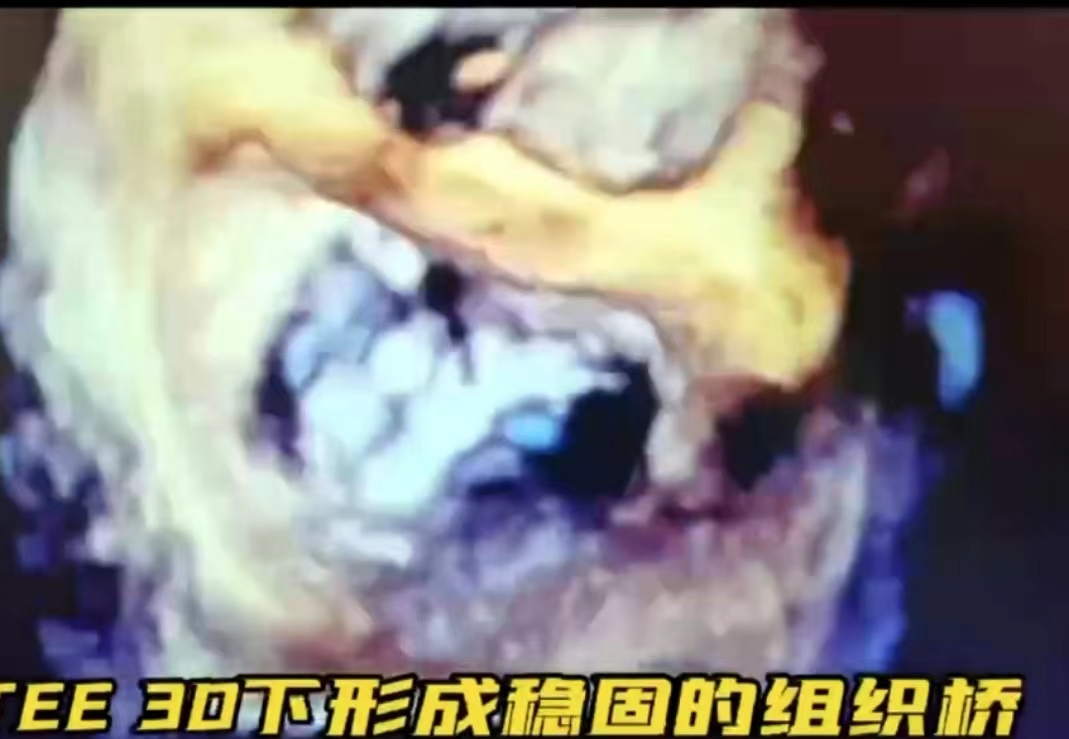 圖4.jpg